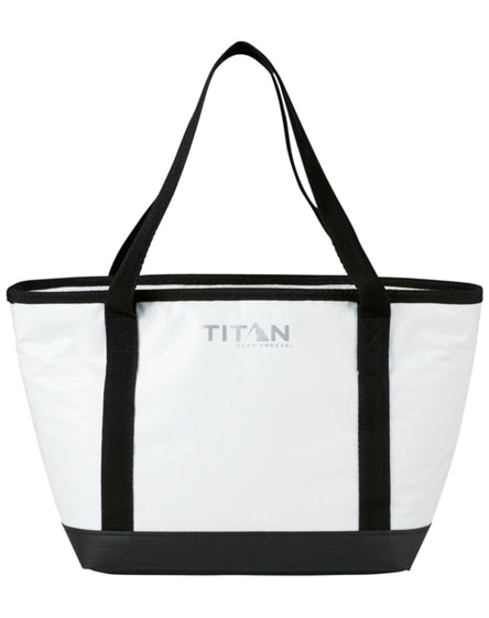 branded titan 2-day thermaflect lunch cooler bag