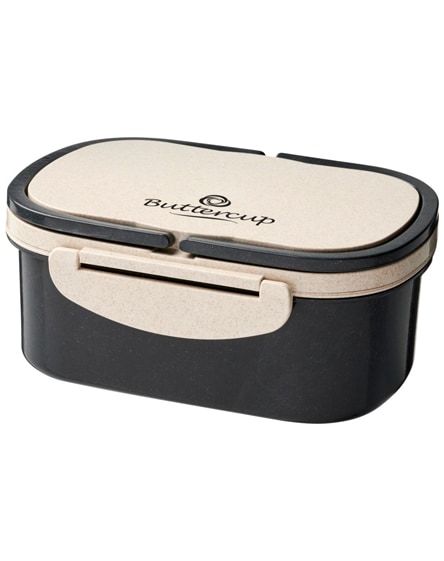 branded crave wheat straw lunch box