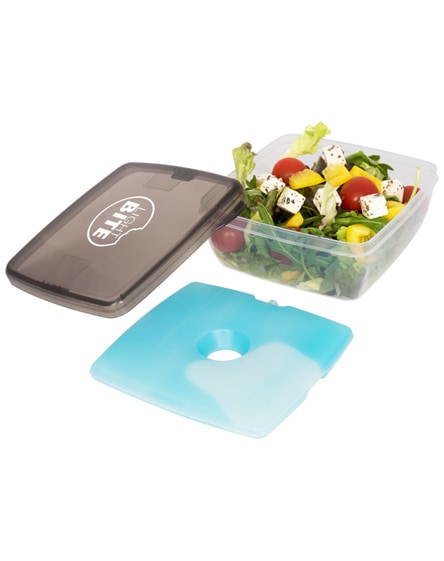 branded glace lunch box with ice pad