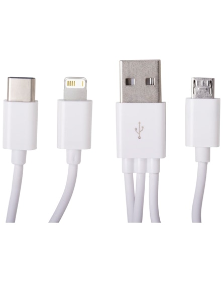 branded tril 3-in-1 charging cable